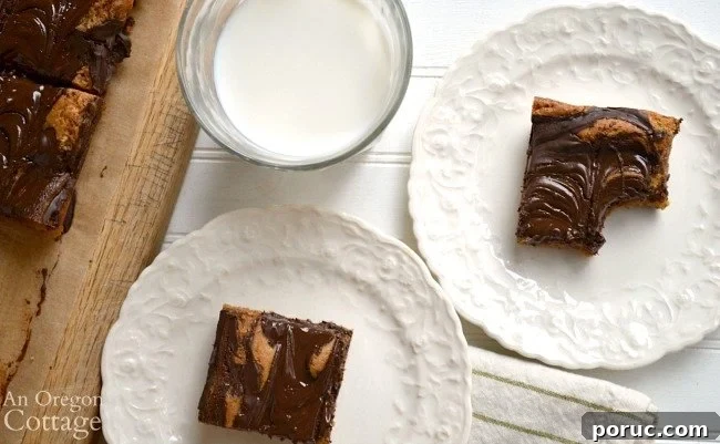 Classic Chocolate Peanut Butter Swirl Bars Recipe — Decadent Homemade Treat 3 Peanut Butter Swirl Bars with milk