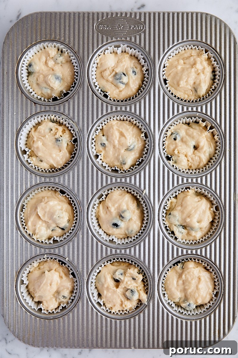 Blueberry muffin batter scooped into muffin tin