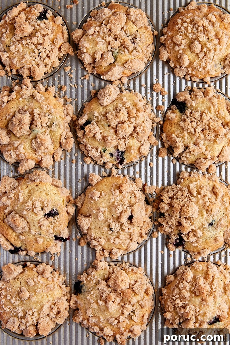 Baked blueberry crumb muffins in muffin tin