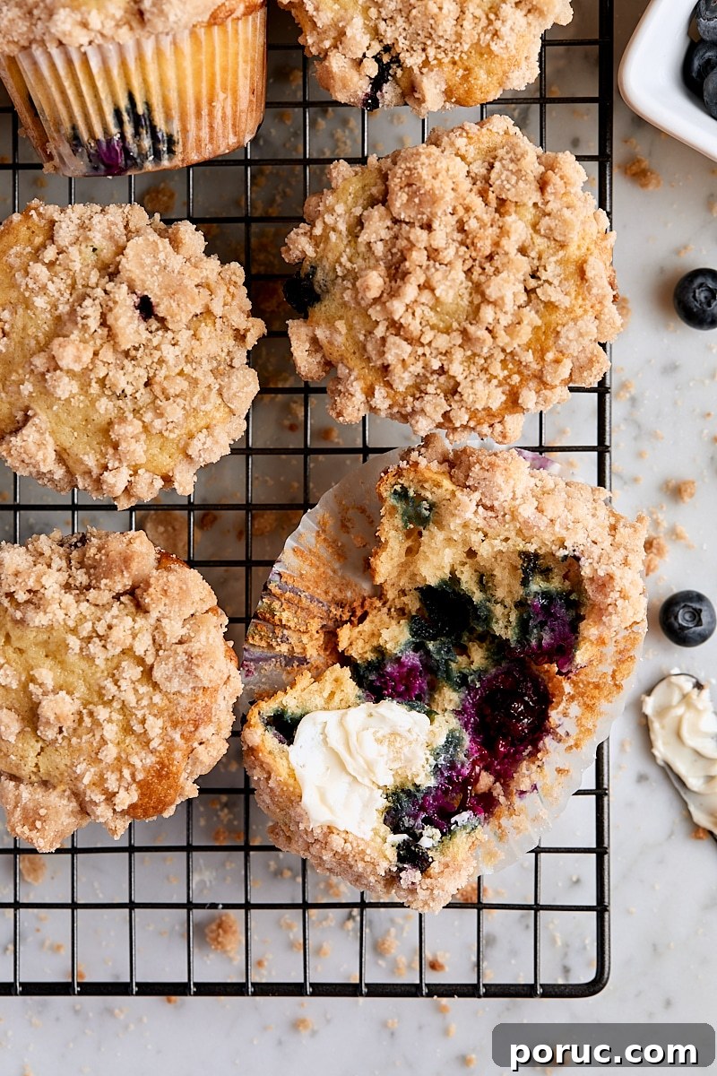 Blueberry Crumb Muffins