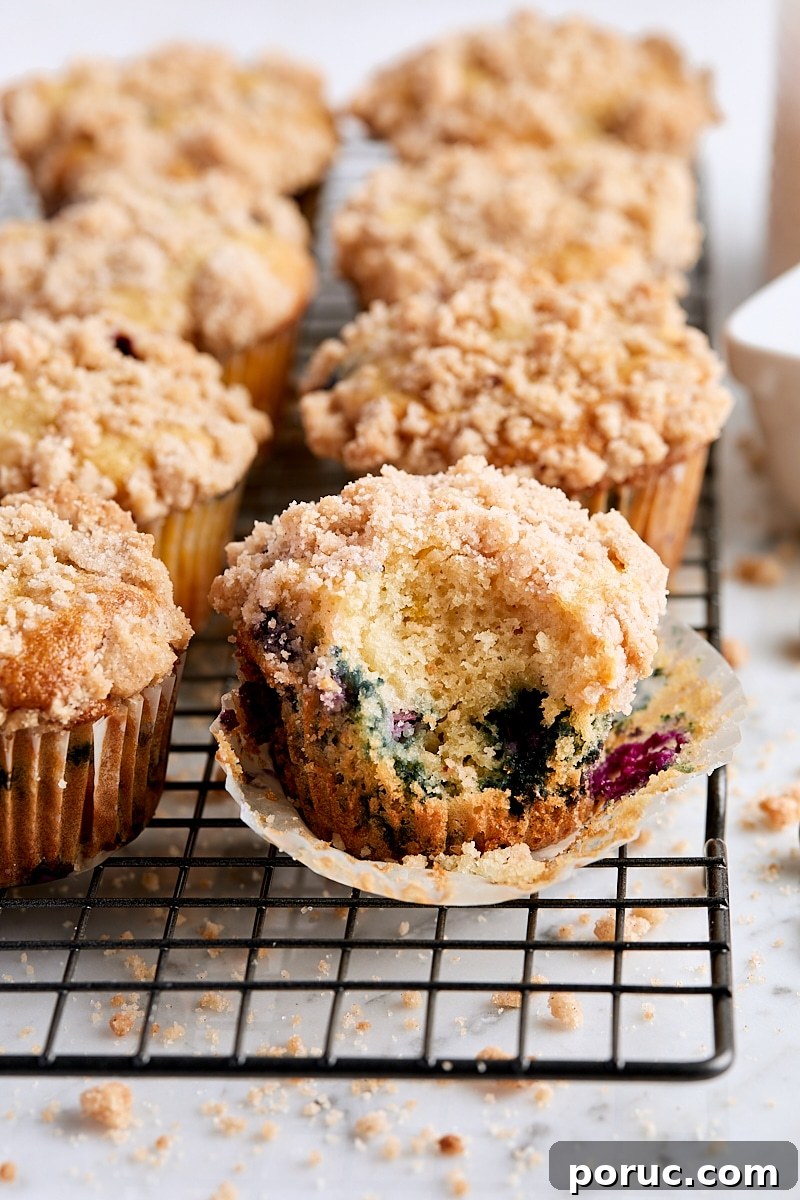 Blueberry Crumb Muffins