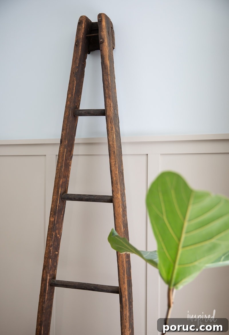Hidden Vintage Treasures: My Latest Retro Finds and Collectibles 3 Close-up of orchard ladder details