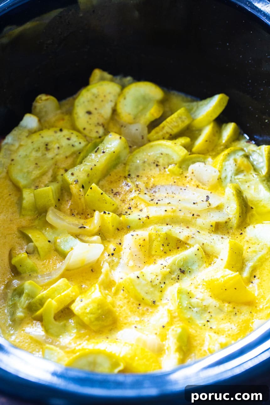 Cheesy Slow Cooker Squash Casserole Recipe 3 Cheesy Yellow Squash in a crock pot