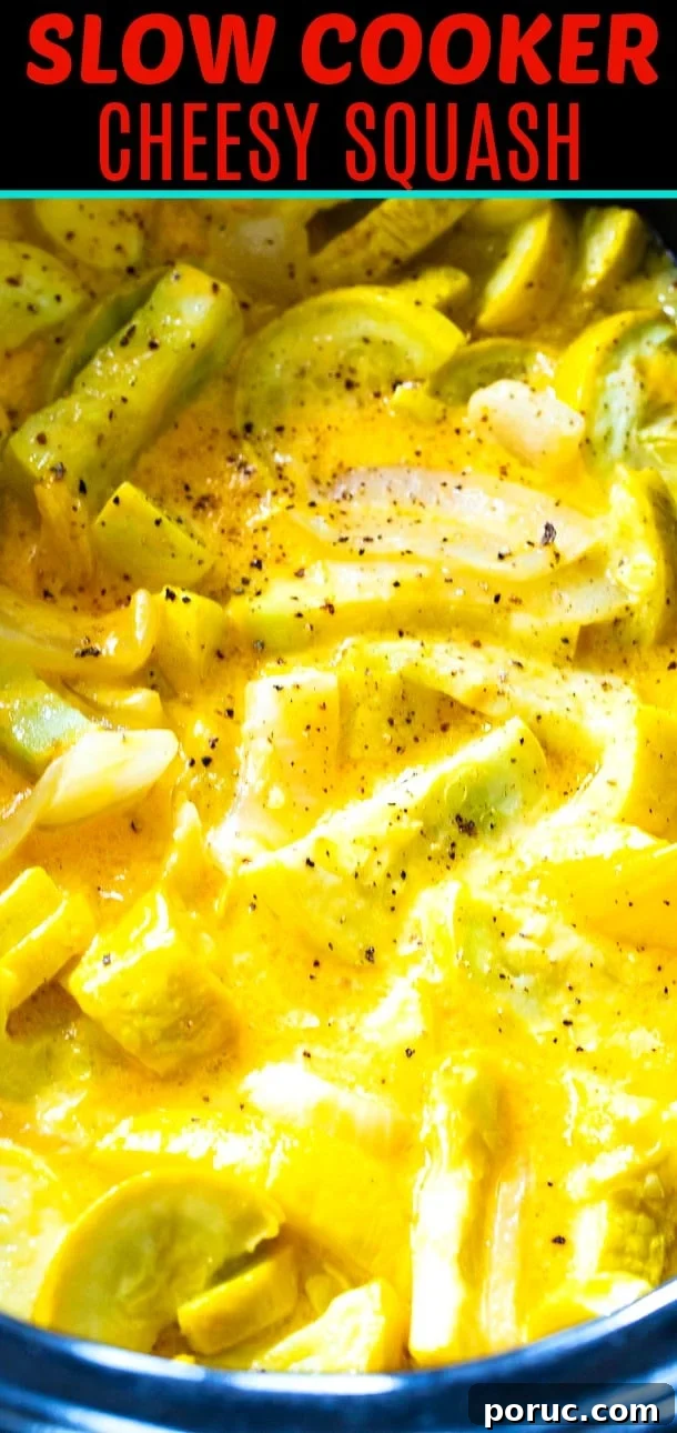 Cheesy Slow Cooker Squash Casserole Recipe 6 Crock Pot full of cheesy squash