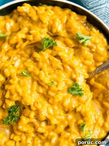 A bowl of vegan pumpkin risotto with a spoon in it and garnished with fresh parsley.