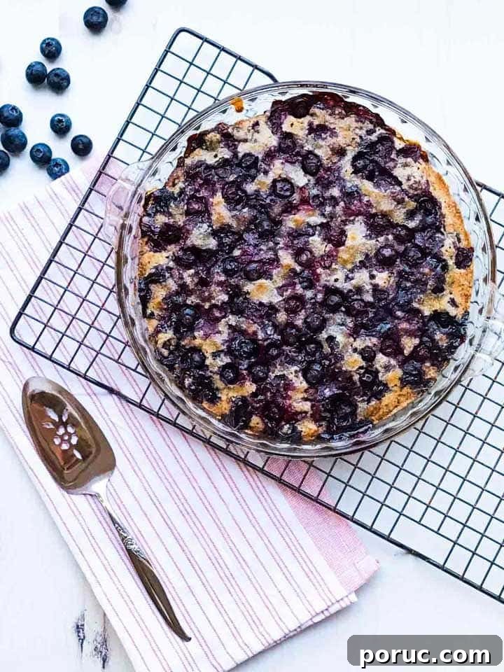 Crustless Blueberry Pie Recipe: Quick, Creamy Summer Dessert 3 A crustless blueberry pie on a rack with a serving spoon and blueberries