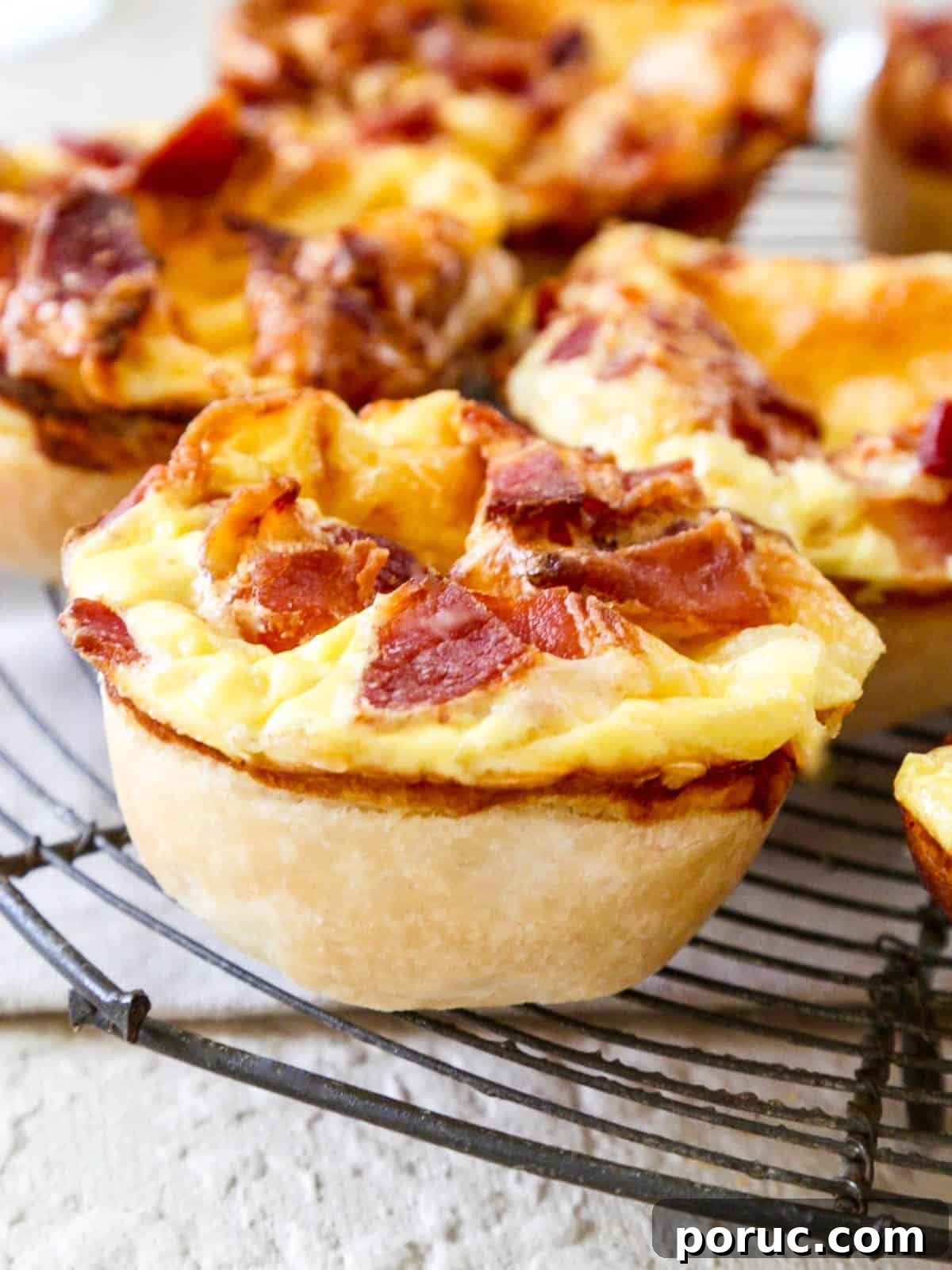 Bite-Sized Brie & Bacon Mini Quiches: Savory Party Appetizers 3 img 306 2 1