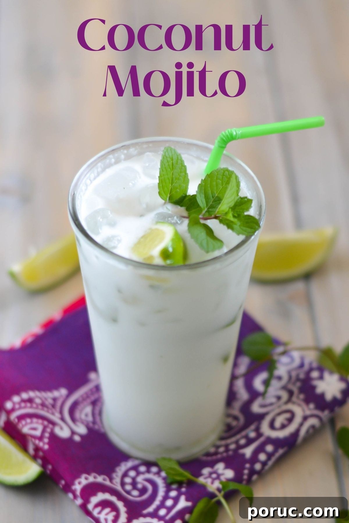 Photo of a tall glass filled with a coconut mojito garnished with lime wedge and mint.