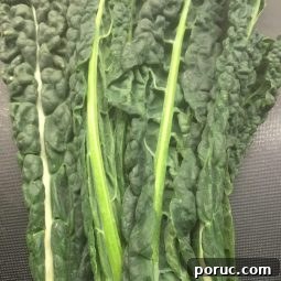 Mushroom Pasta with Cavolo Nero