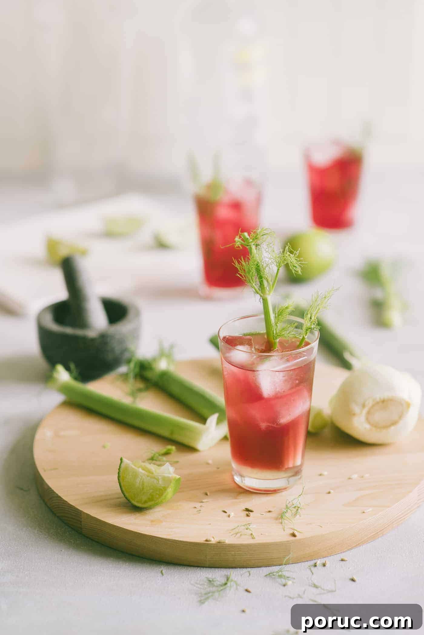Cranberry Fennel Sparkling Refresher Recipe 2 fennel cocktail