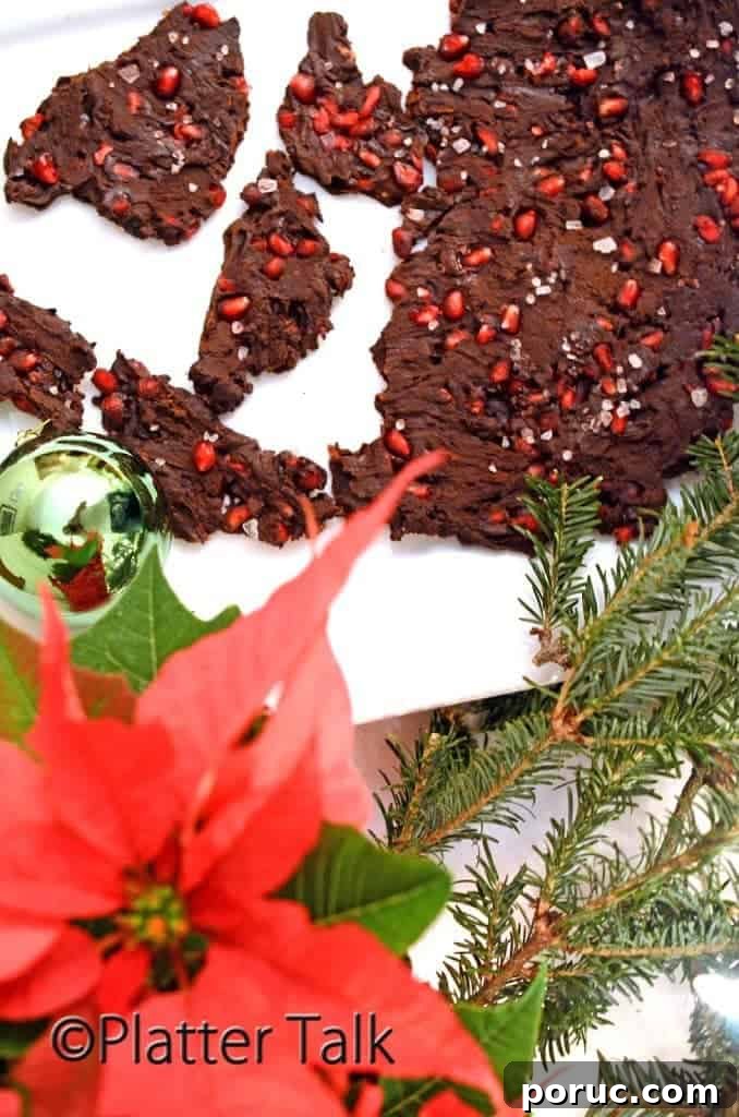 a couple of pieces of chocolate bark