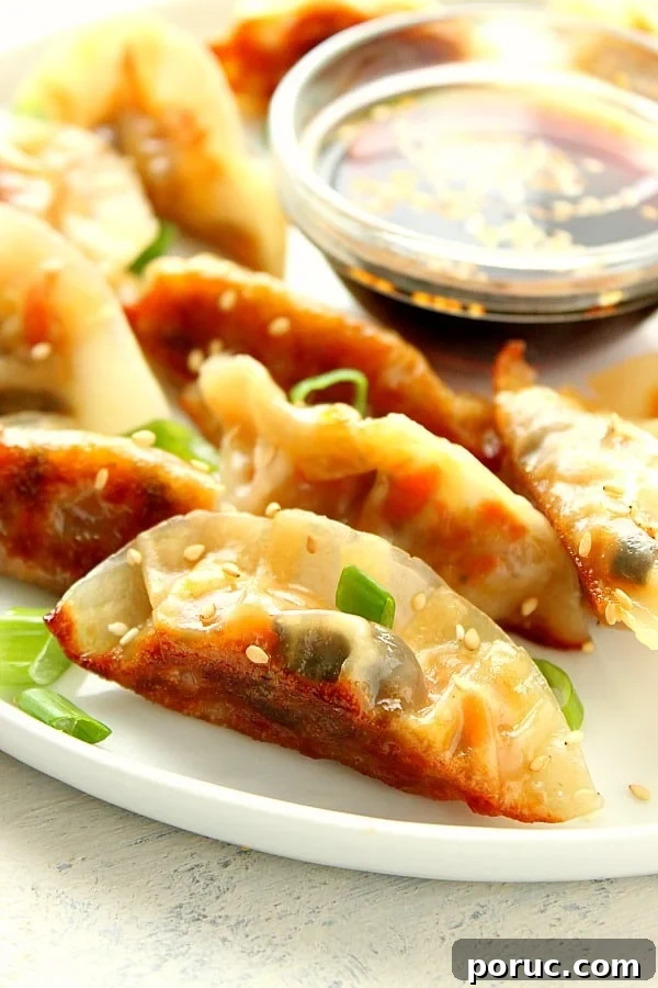 Vegetable Potstickers Recipe: Crispy Pan-Fried Dumplings 2 Potstickers on a plate.
