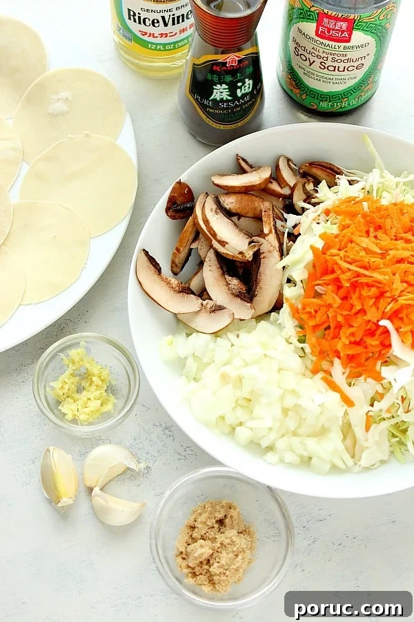 Vegetable Potstickers Recipe: Crispy Pan-Fried Dumplings 3 Ingredients for Asian potstickers.
