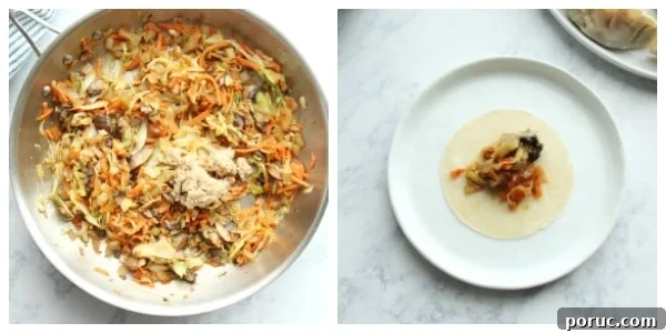Vegetable Potstickers Recipe: Crispy Pan-Fried Dumplings 5 Potsticker filling in a skillet.
