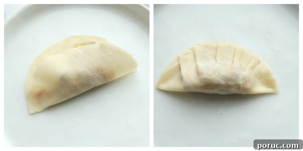 Vegetable Potstickers Recipe: Crispy Pan-Fried Dumplings 6 Folded potstickers.