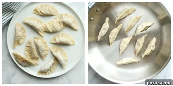 Vegetable Potstickers Recipe: Crispy Pan-Fried Dumplings 7 Dumplings on a plate and in skillet.