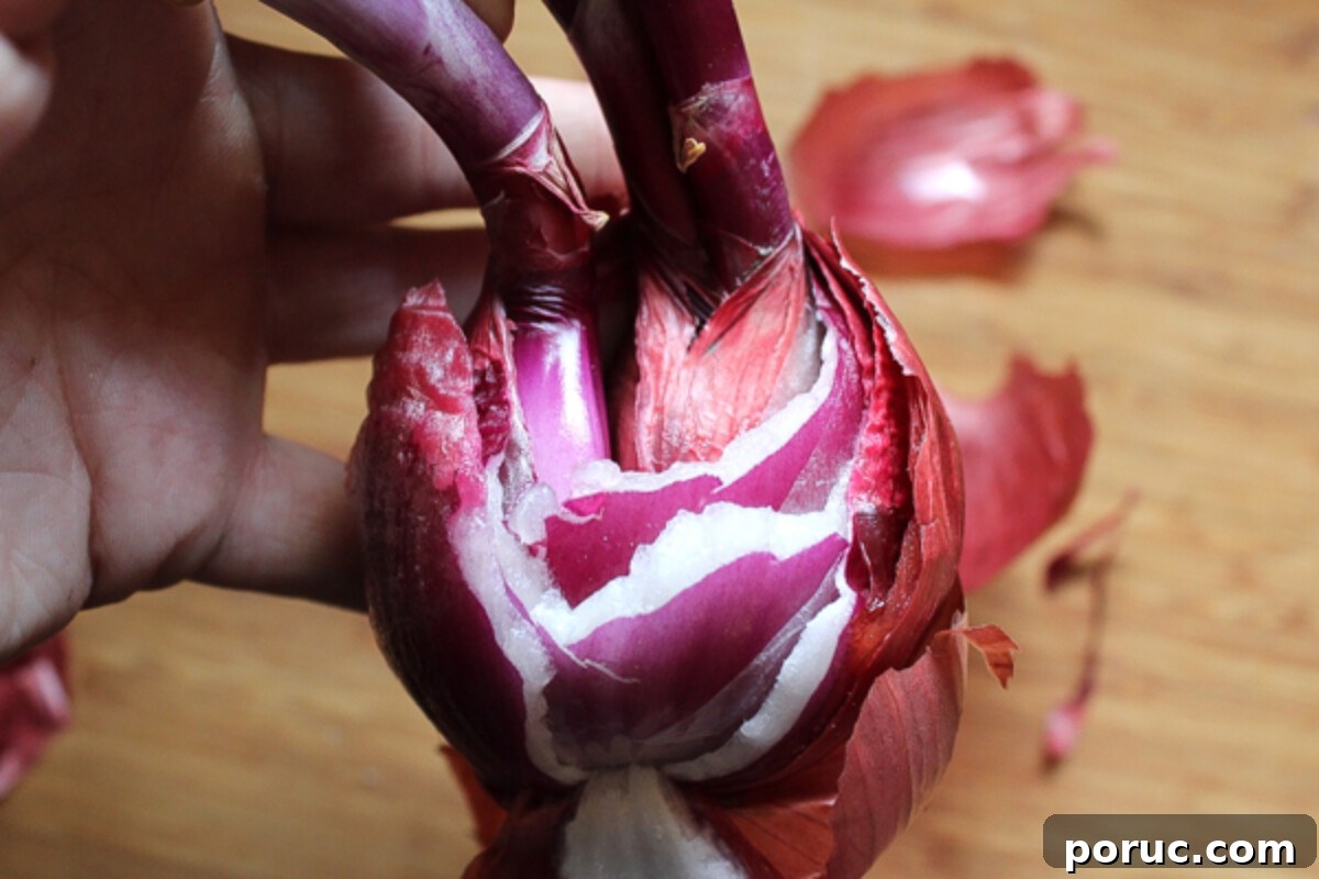 How to Plant and Grow Onions from Sprouted Bulbs 3 Dividing Sprouted Onions for planting
