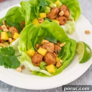 Jamaican Jerk Chicken Lettuce Wraps with Mango Salsa 13 Lettuce wraps with chicken, nuts and mangoes.