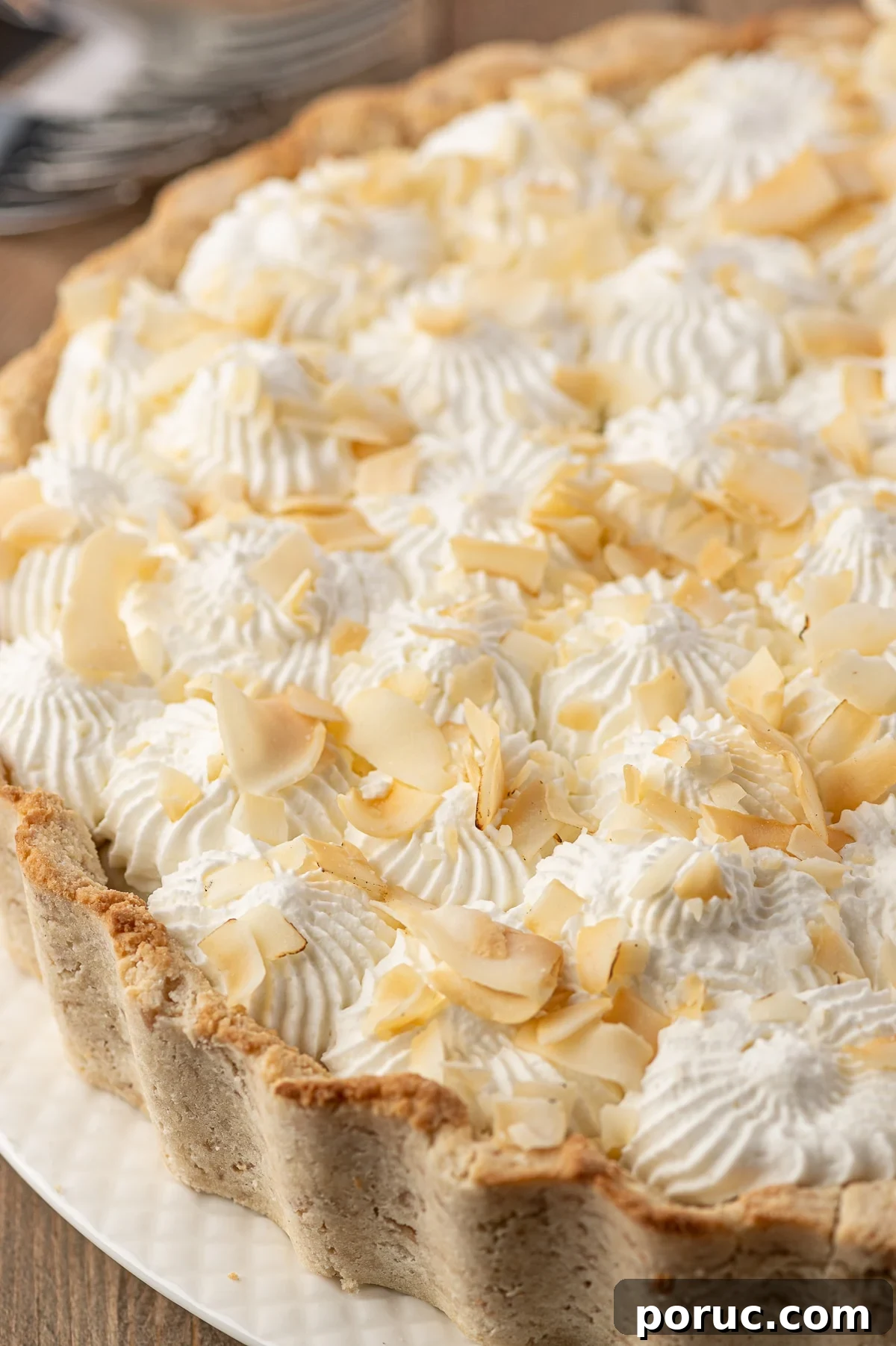 Coconut Cream Pie with ruffled crust, piped whipped cream stars and large flake toasted coconut.