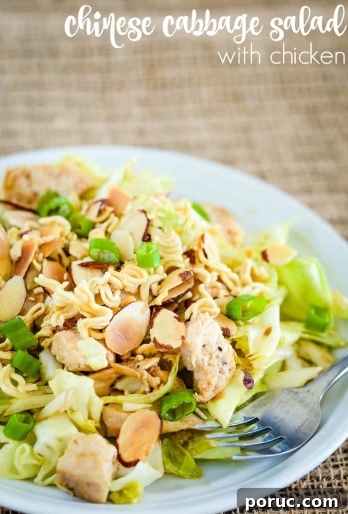 Chinese Cabbage Salad . . . cabbage, lettuce, chunks of chicken, a light Asian dressing, and crunchy ramen noodle topping give this salad incredible taste and texture! easy chinese cabbage salad recipe collage