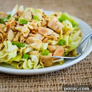Crispy Chinese Cabbage Chicken Salad with Sesame Ginger Dressing 2 raman cabbage salad on a plate