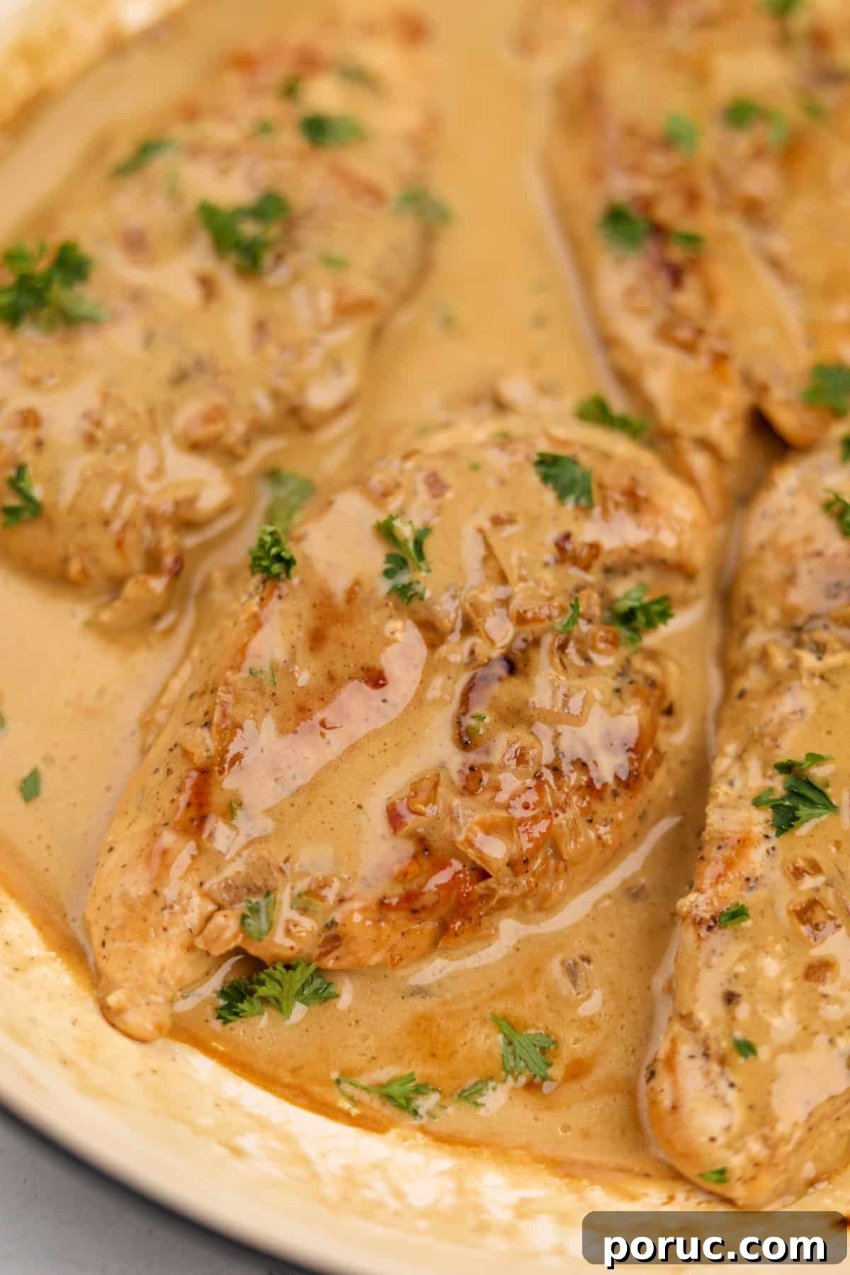 Chicken breasts in a creamy sauce and garnished with parsley.