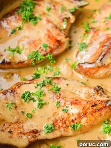A close up of a skillet of chicken breasts in a creamy sauce, garnished with parsley.