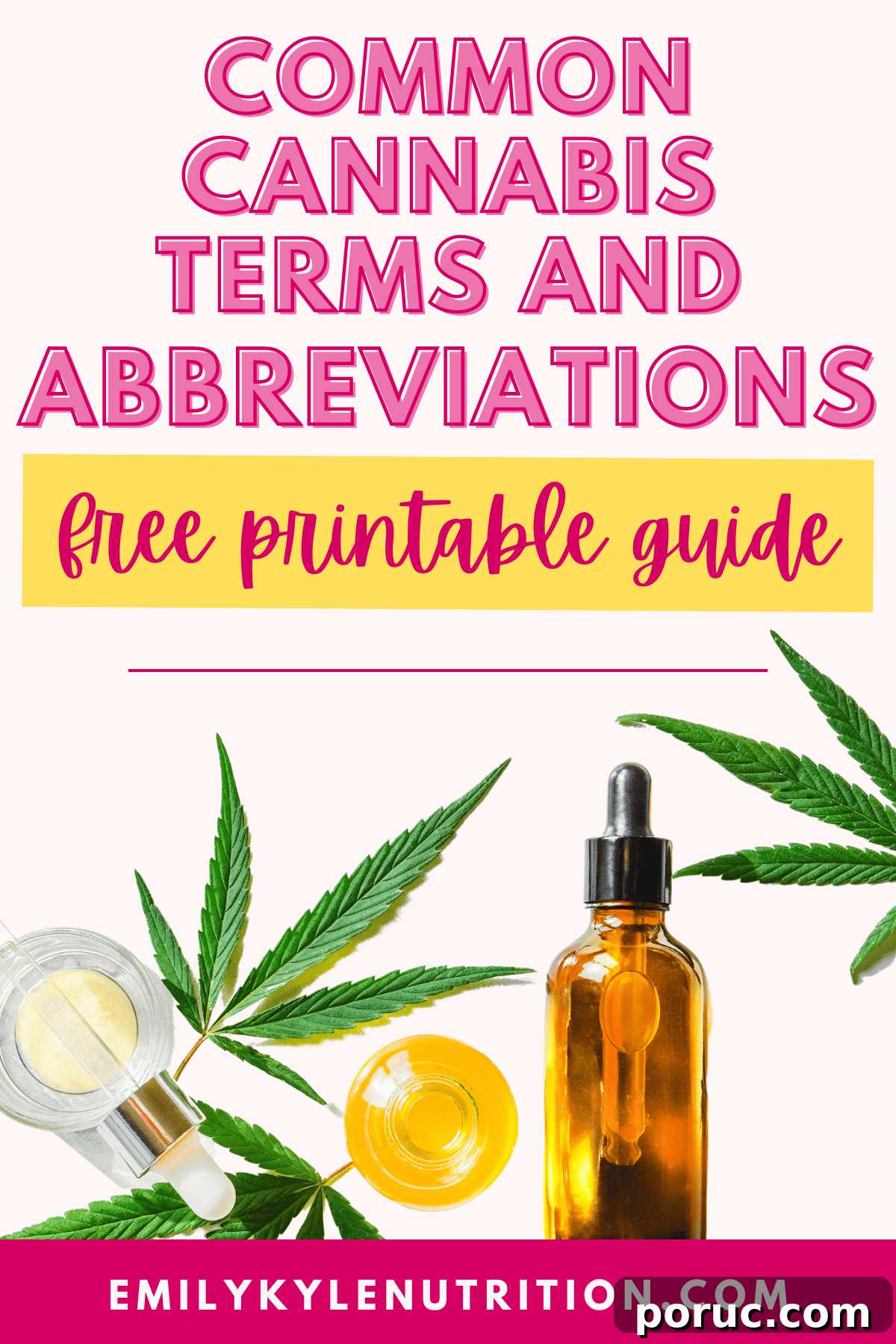 Cannabis Glossary & Abbreviations: Free Printable Guide 2 Text that says Cannabis Terms and Abbreviations Free Printable Guide with a cannabis leaf and tincture bottle.