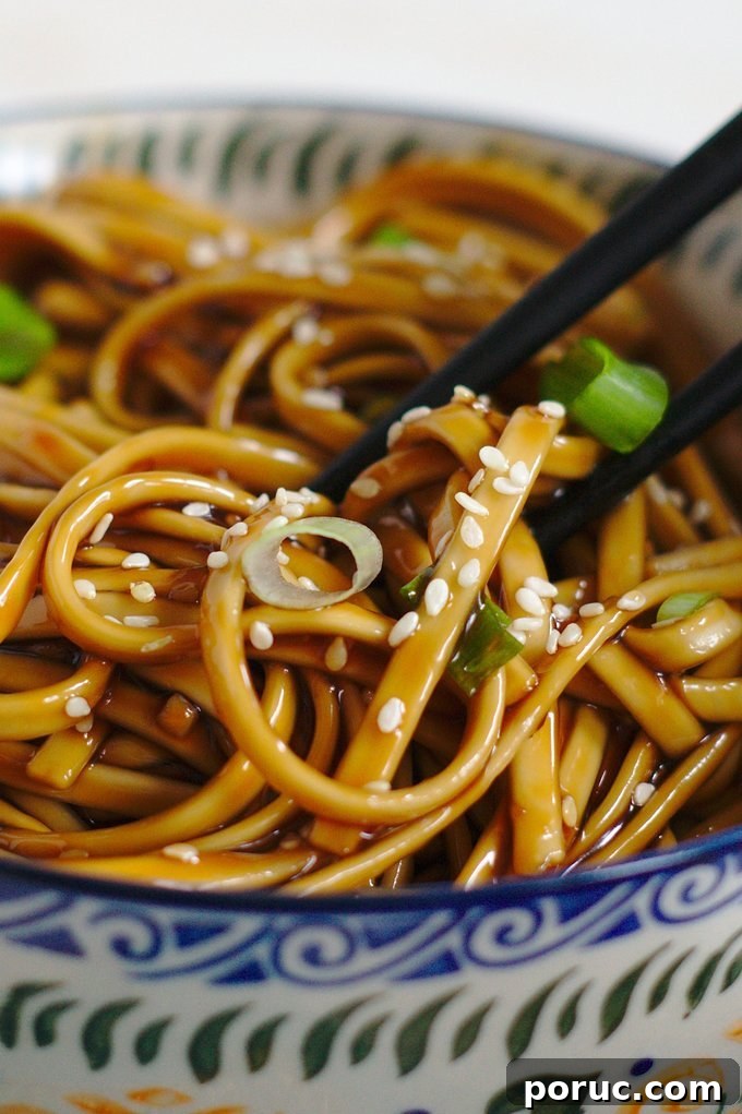 Japanese Teriyaki Noodle Recipe Japanese Teriyaki Noodle Recipe