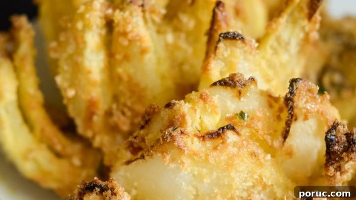Image for How to Make an Air Fried Blooming Onion (Gluten-Free)