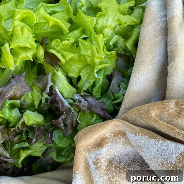 covering for frost on lettuce