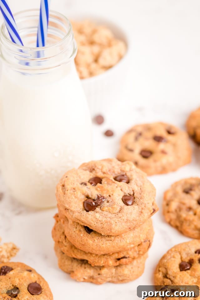How to Make Breakfast Chocolate Chip Cookies
