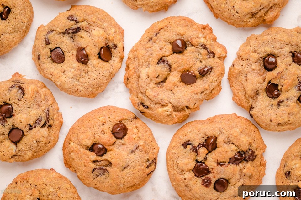 How to Make Breakfast Chocolate Chip Cookies