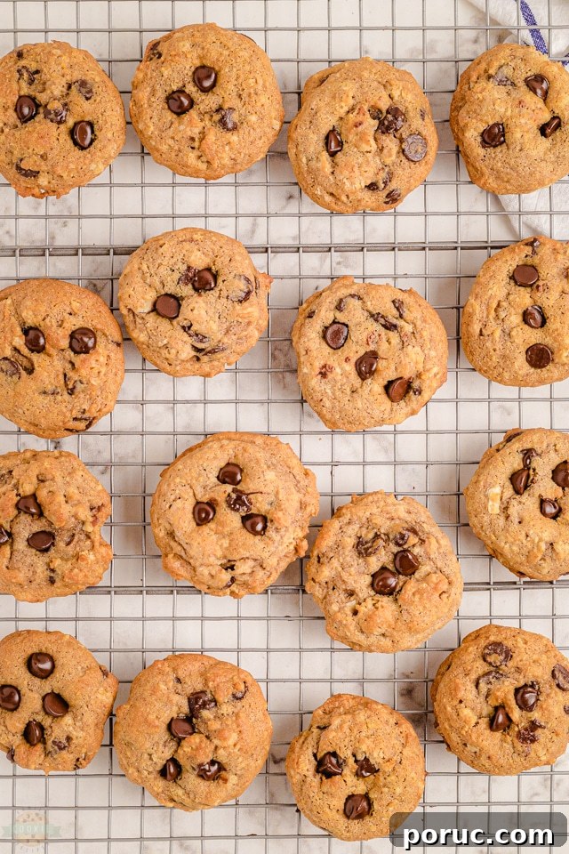 Morning Chocolate Chip Cookies: Quick Breakfast Cookie Recipe 7 How to Make Breakfast Cookies