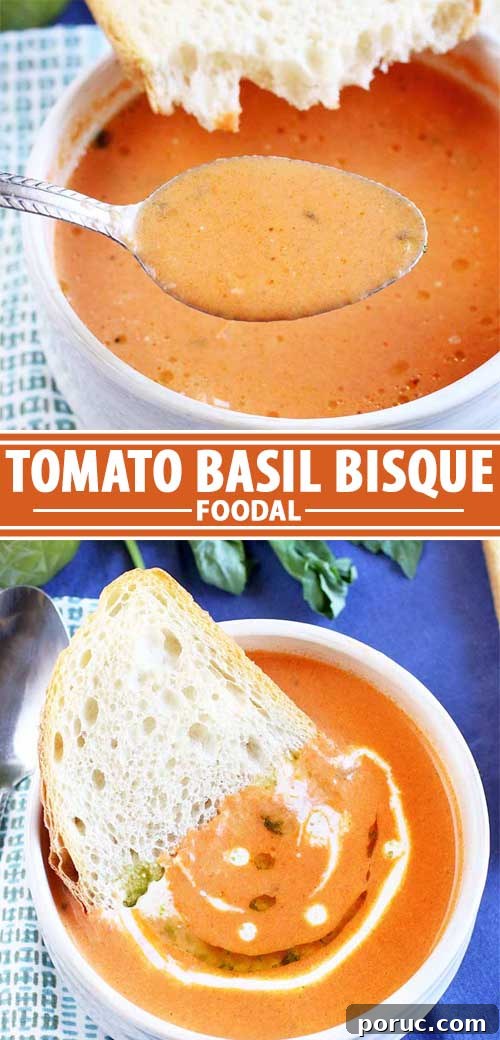 Creamy Tomato Basil Bisque That Elevates Classic Comfort Food 16 A collage of photos showing different views of tomato basil bisque recipe.