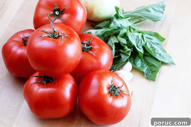Creamy Tomato Basil Bisque That Elevates Classic Comfort Food 9 A small pile of six red tomatoes with a few cloves of garlic, sprigs of basil, and a white onion, on a brightly lit beige countertop.