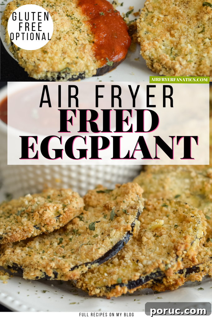 AIR FRIED EGGPLANT