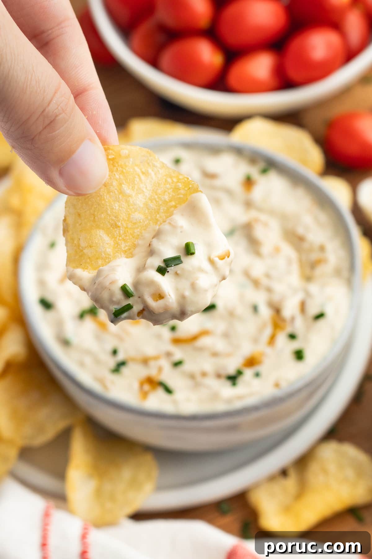 Creamy Caramelized Onion Dip with Greek Yogurt 3 This is a picture of a chip with onion dip.