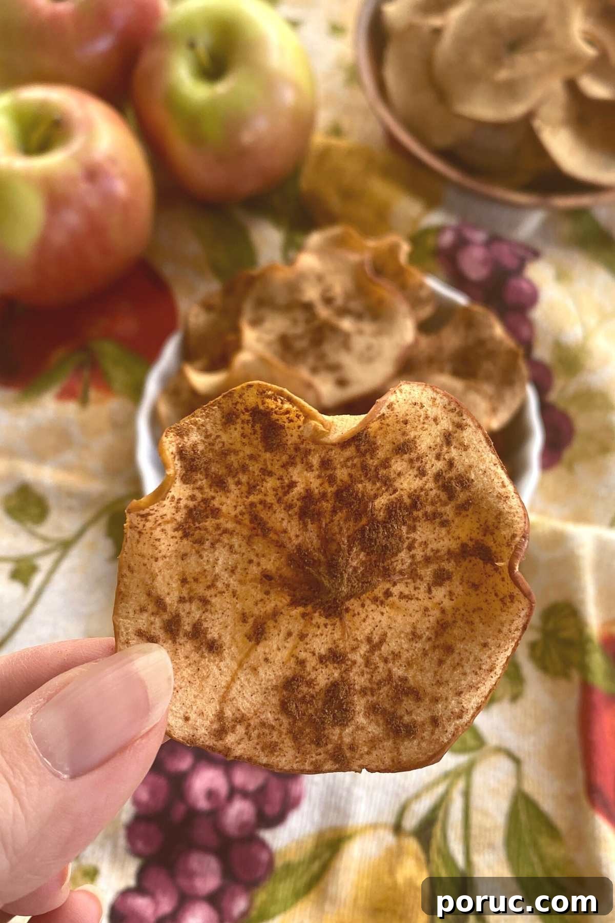 Crispy Oven-Dried Apple Chips Recipe for Snacking 5 Hand holding up a one dried apple chip for a close up view.