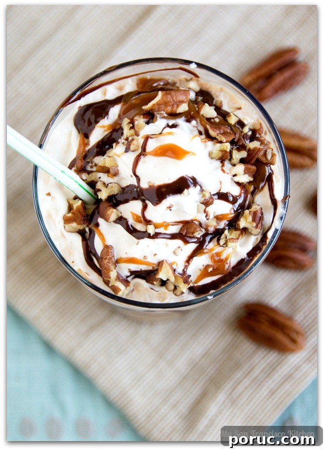 turtle-iced-coffee-3