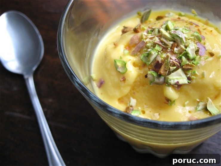 Mango Frozen Yogurt Recipe | sophisticatedgourmet.com