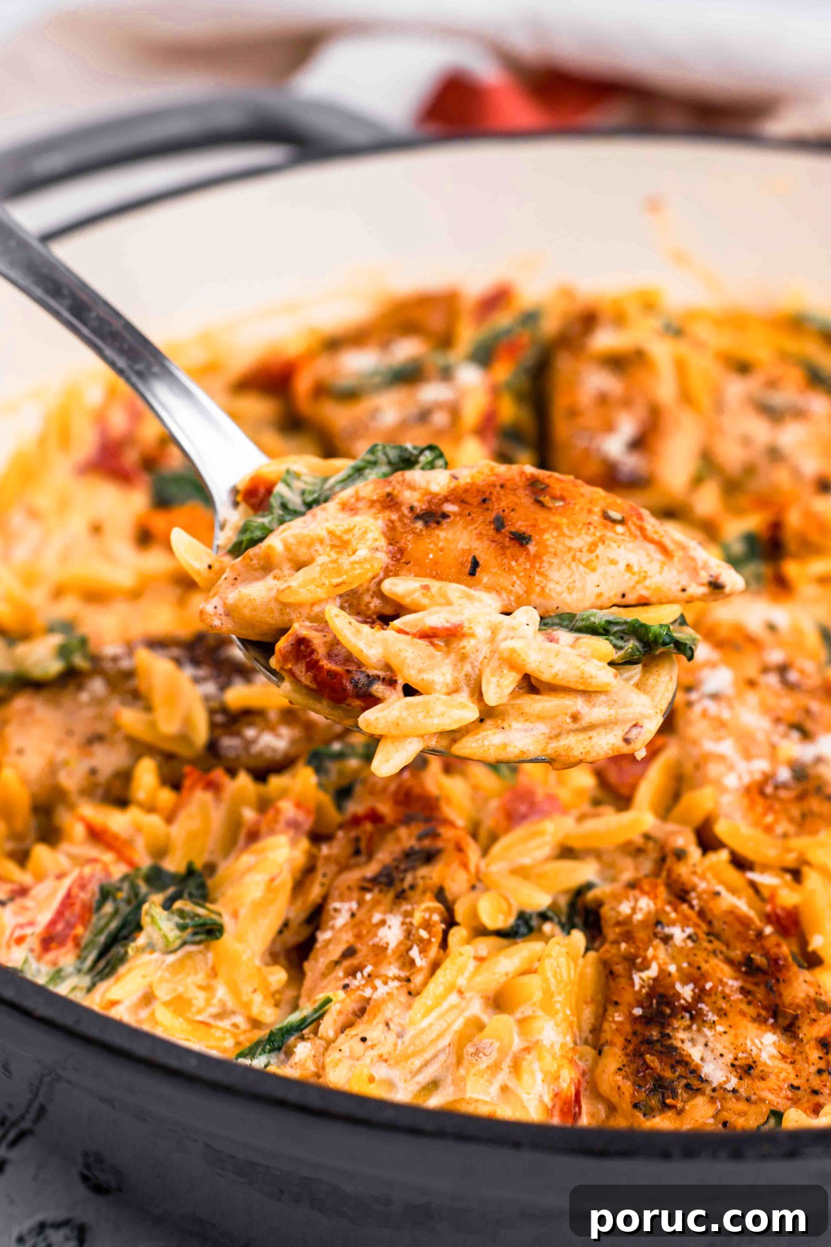 21 Comforting High-Protein Fall Recipes for Family Meals 18 side shot of chicken orzo pasta