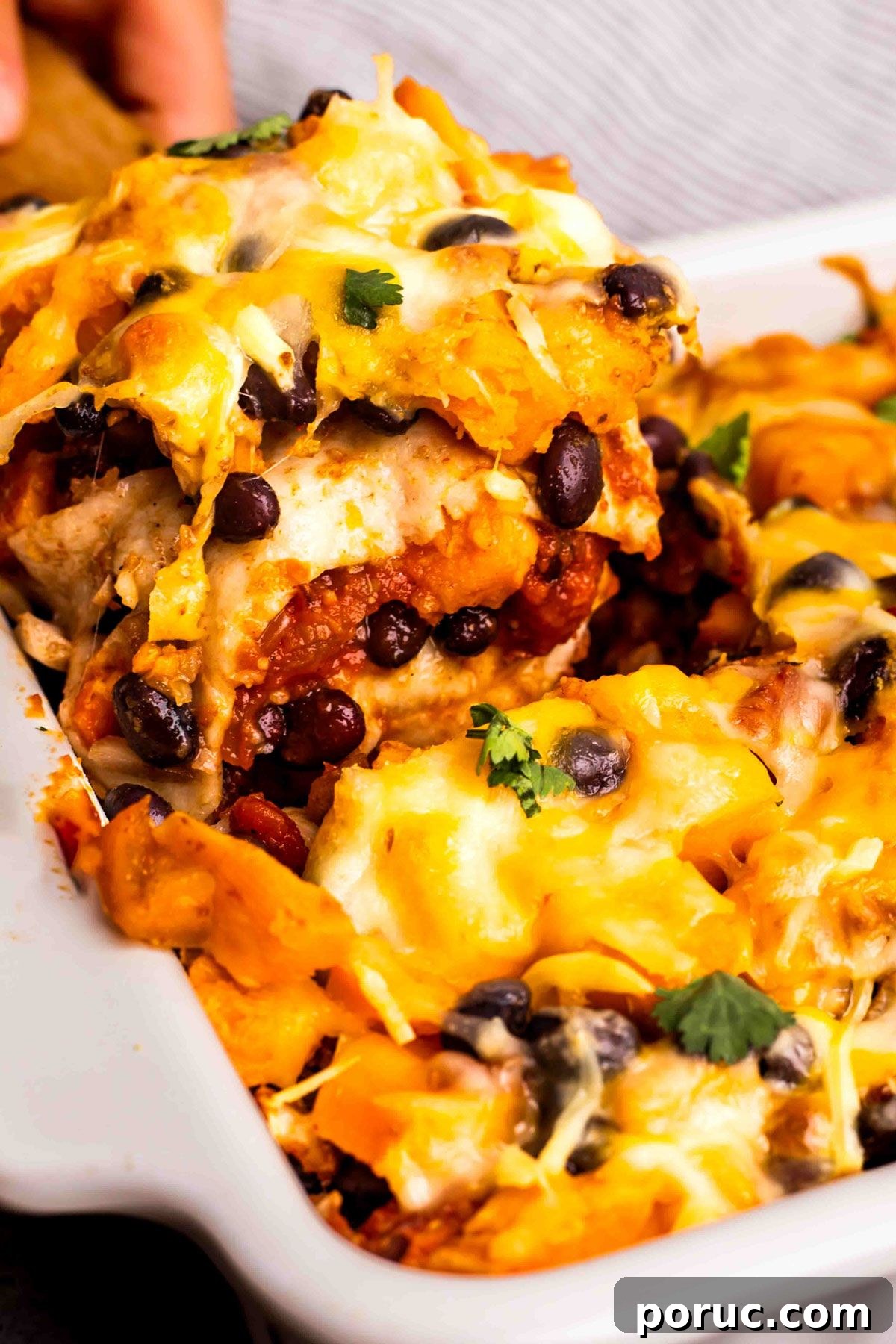 21 Comforting High-Protein Fall Recipes for Family Meals 20 Sweet Potato Black Bean Casserole