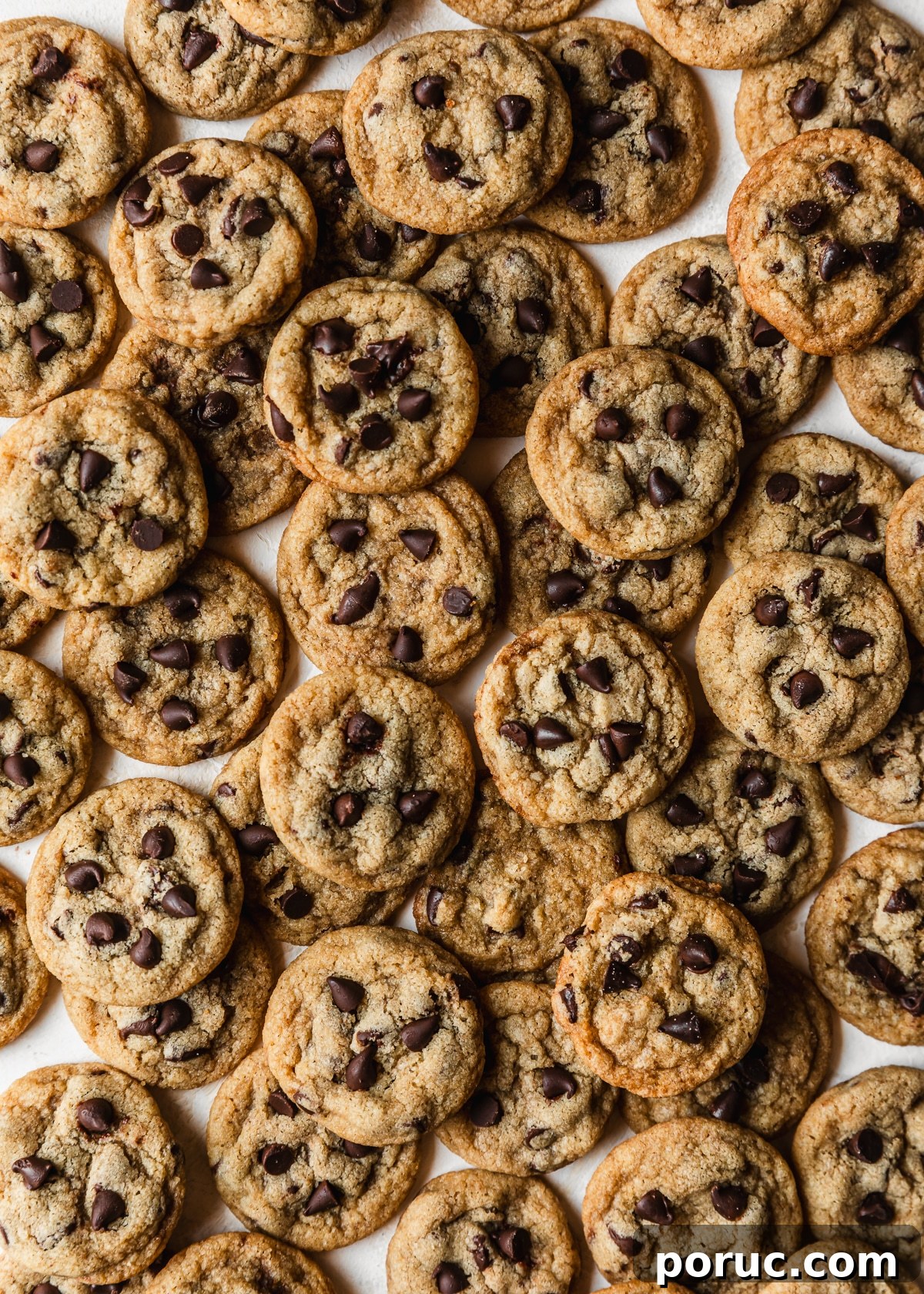 Chewy Mini Chocolate Chip Cookie Recipe for Perfect Bites 19 Piles of mini chocolate chip cookies on a white counter.
