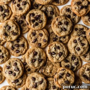 Chewy Mini Chocolate Chip Cookie Recipe for Perfect Bites 21 img 56945 20