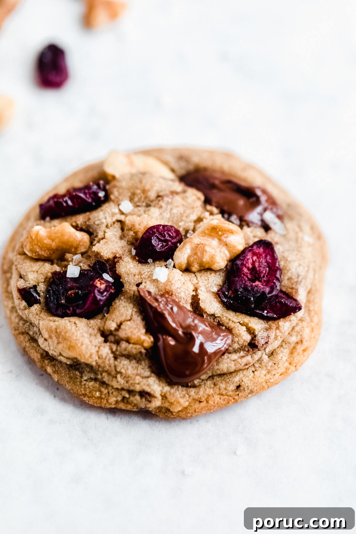close up of cookie with melted chocolate, dried cranberries and walnuts on top