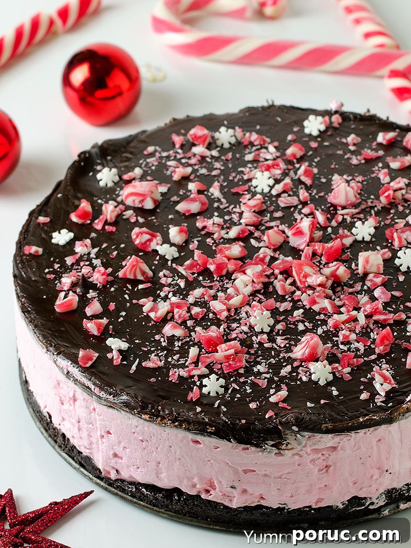 No-Bake Peppermint Cheesecake - a Whole Cake