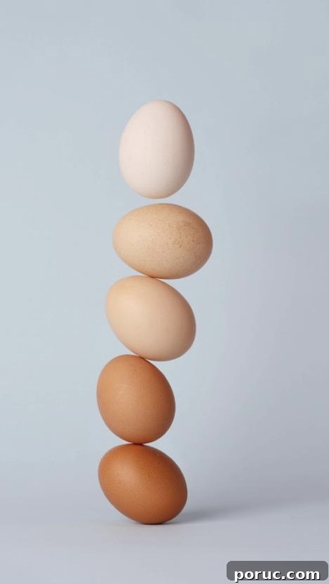 Snack image 2