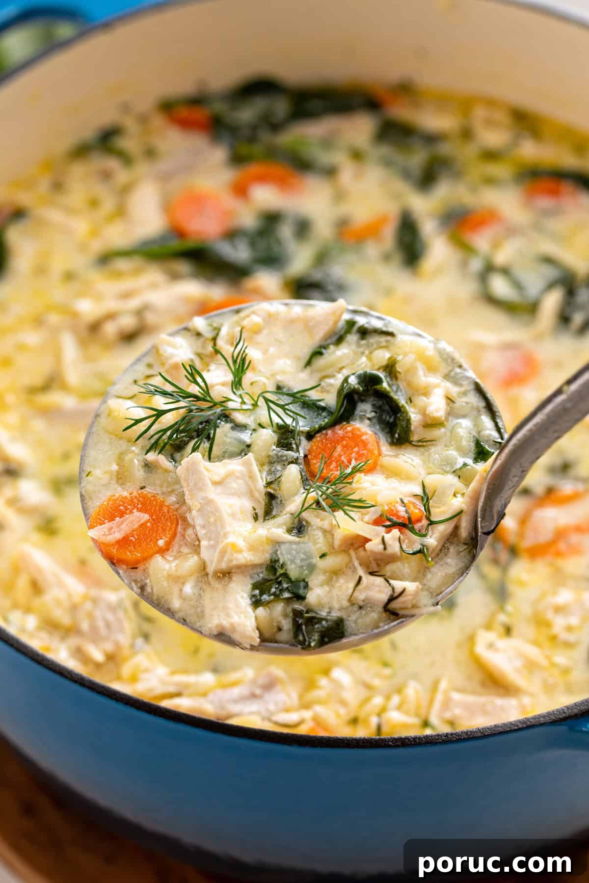 Lemony Chicken and Orzo Soup Recipe for Cozy Meals 3 Ladle holding up a serving of lemon chicken orzo soup.