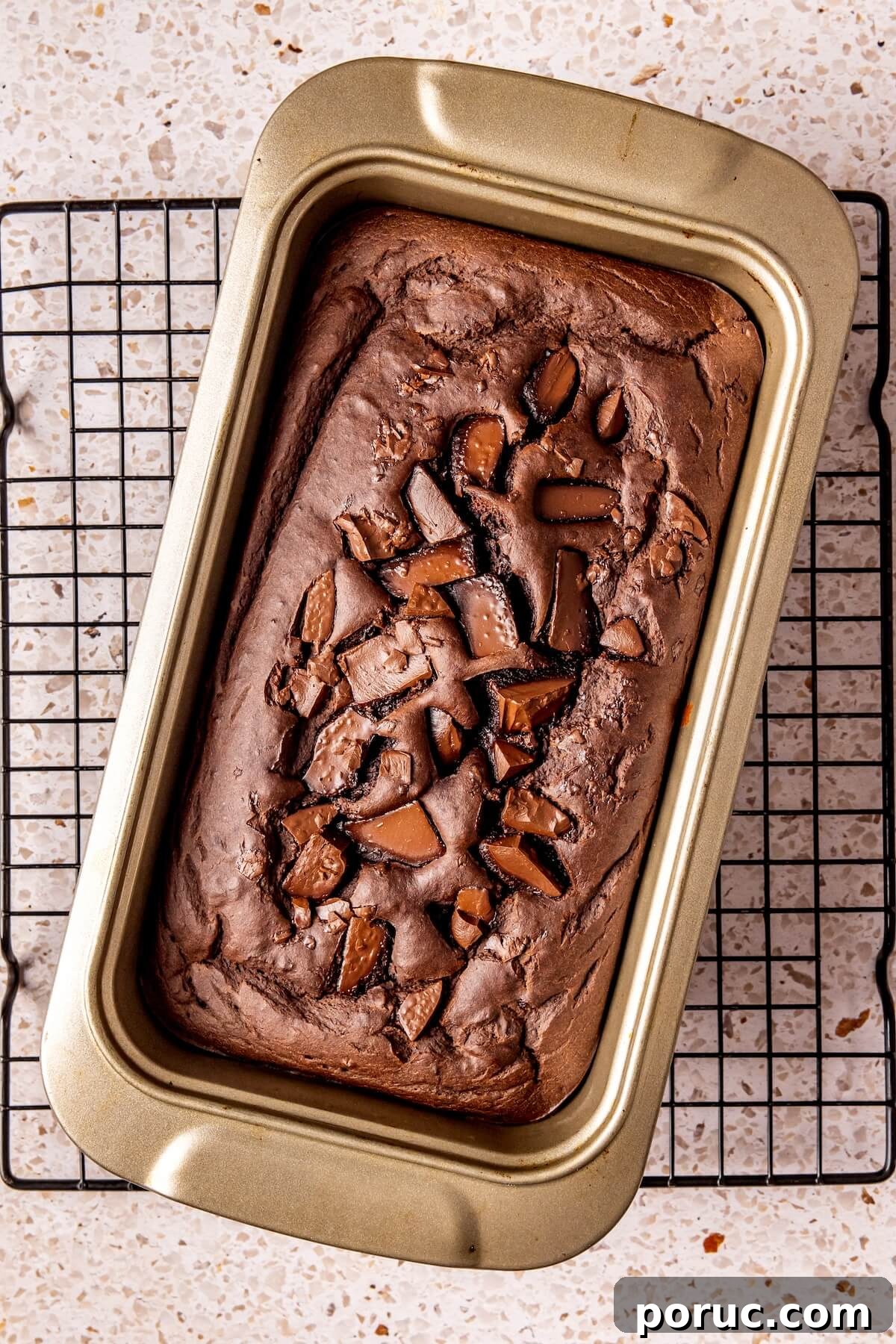 Gluten-Free Double Chocolate Zucchini Blender Bread Recipe 9 How to Make Chocolate Zucchini Bread Step 5 - Olivia Adriance